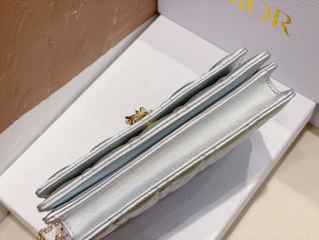 Dior Lady 0980 (2) 21 x 11.5 x 4.5 cm