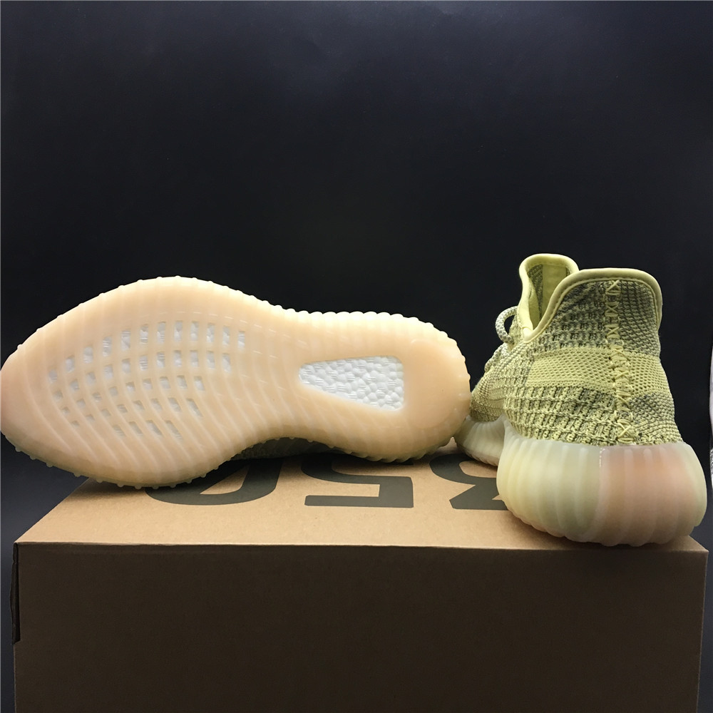 Yeezy Boost 350 V2 Antlia (Reflective)