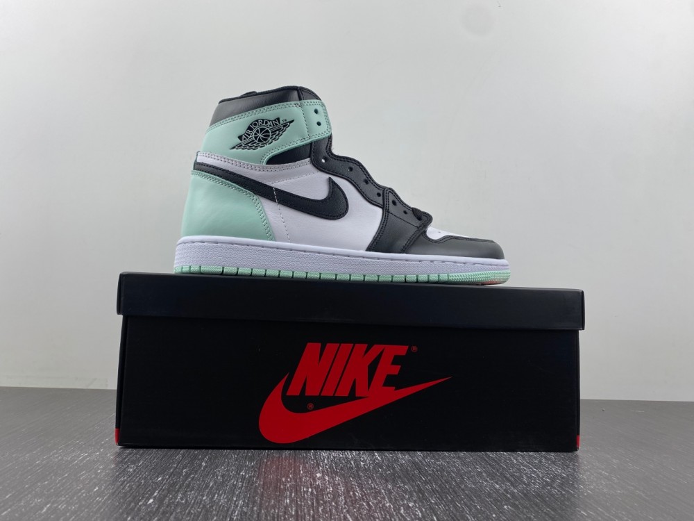 Jordan 1 Retro High Igloo 861428 100