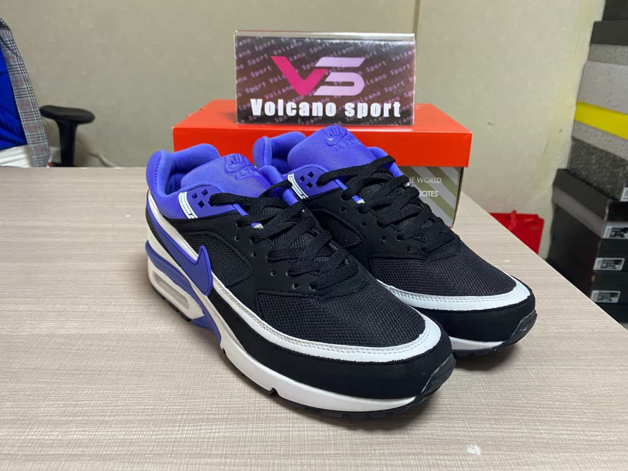 Nike Air Max BW White Persian Violet DN4113-101