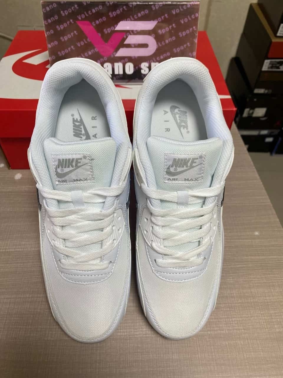 Nike Air Max 90 Light Blue and White FN8005-100