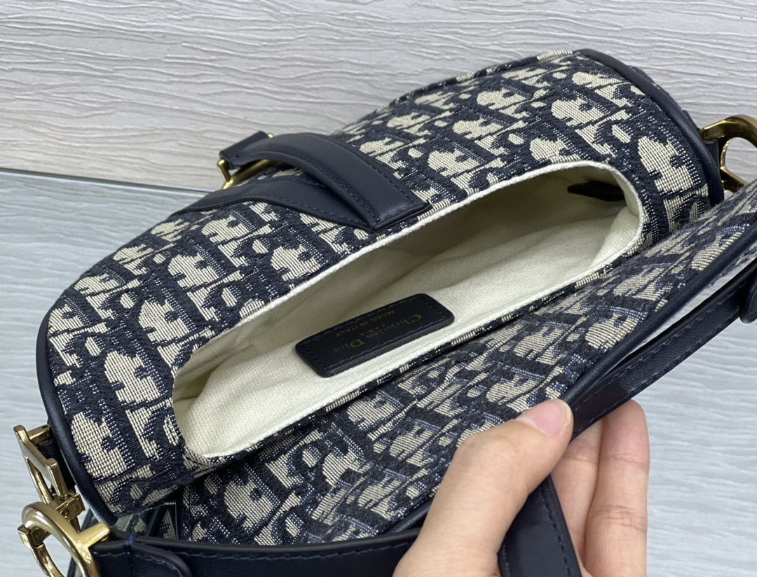 Dior Saddle 22402