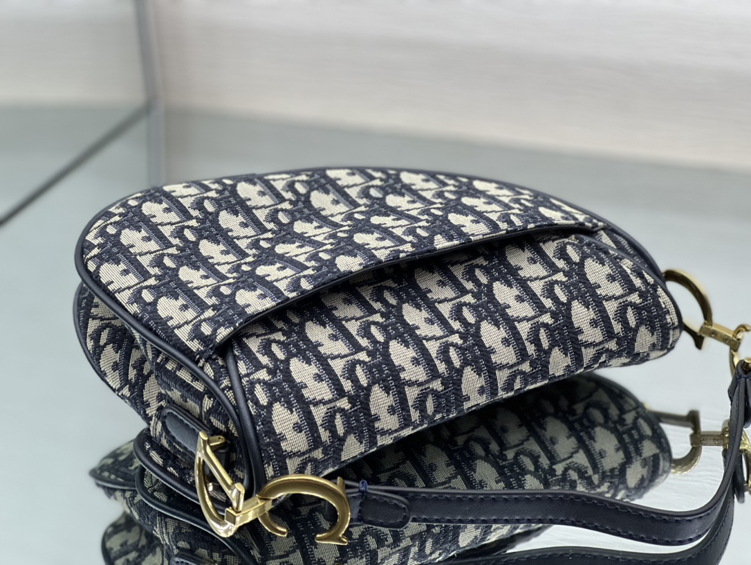 Dior Saddle 22402