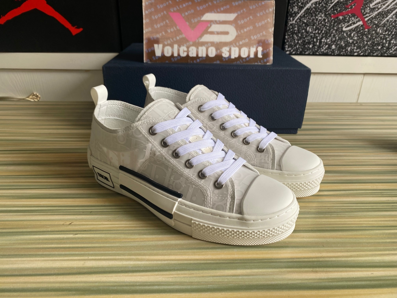 Dior B23 Low Top Oblique