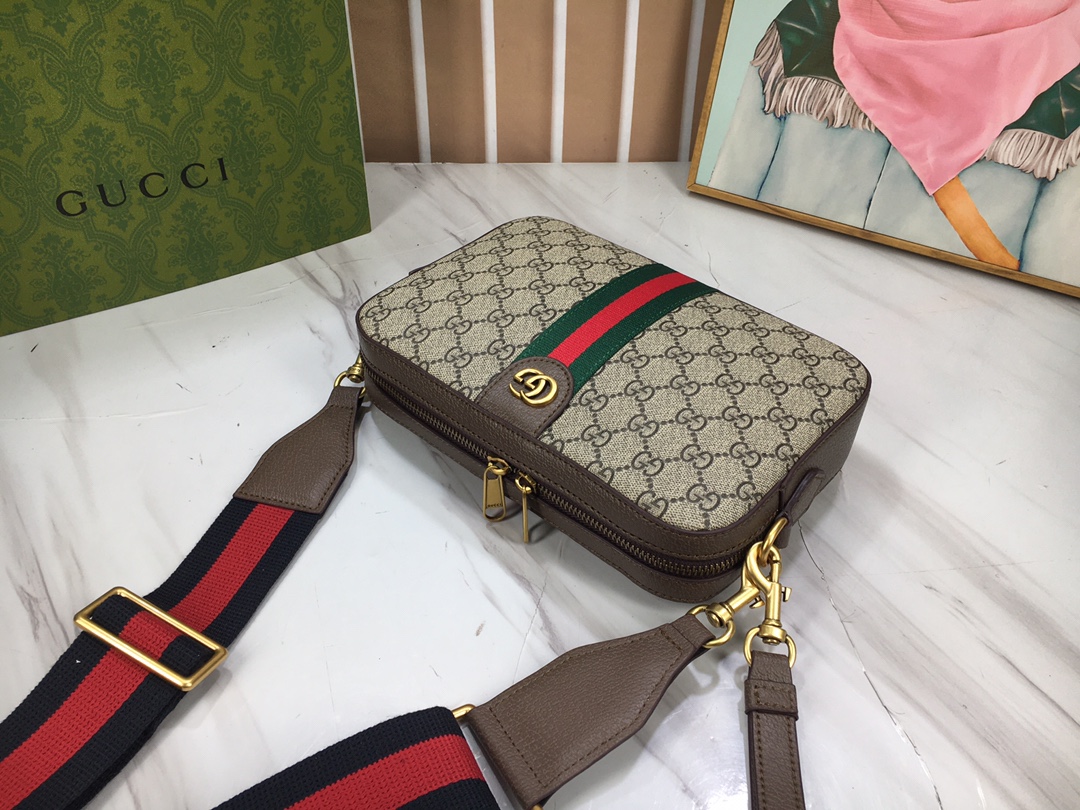 Gucci Ophidia 699439 24.5x16x4.5cm