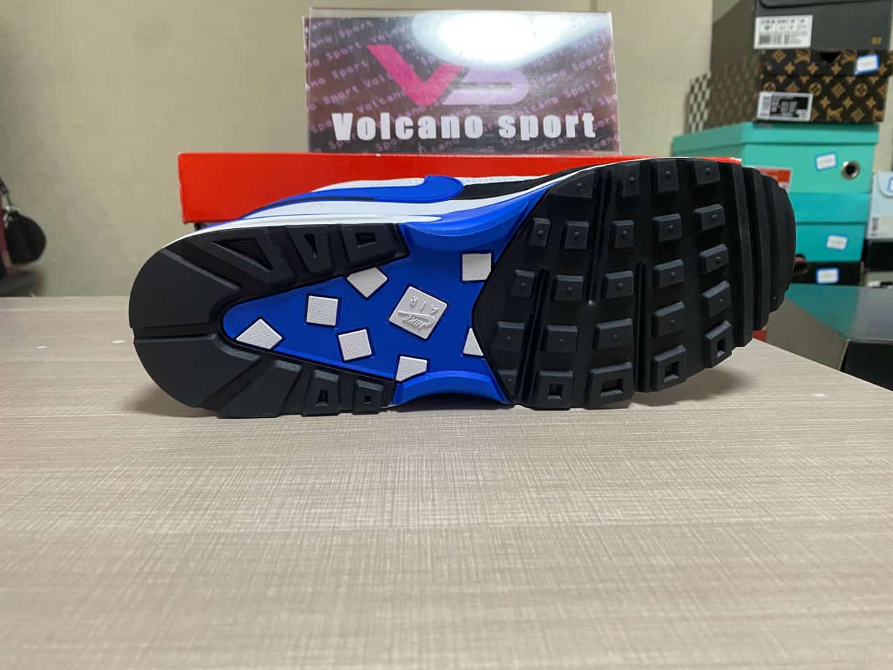 Air Max BW White Persian Violet DN4113-101