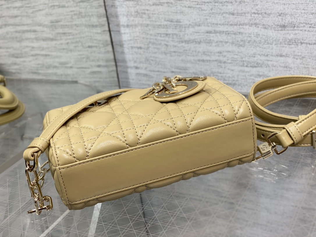 Dior Lady 9250 (3) 16*5.5*10cm