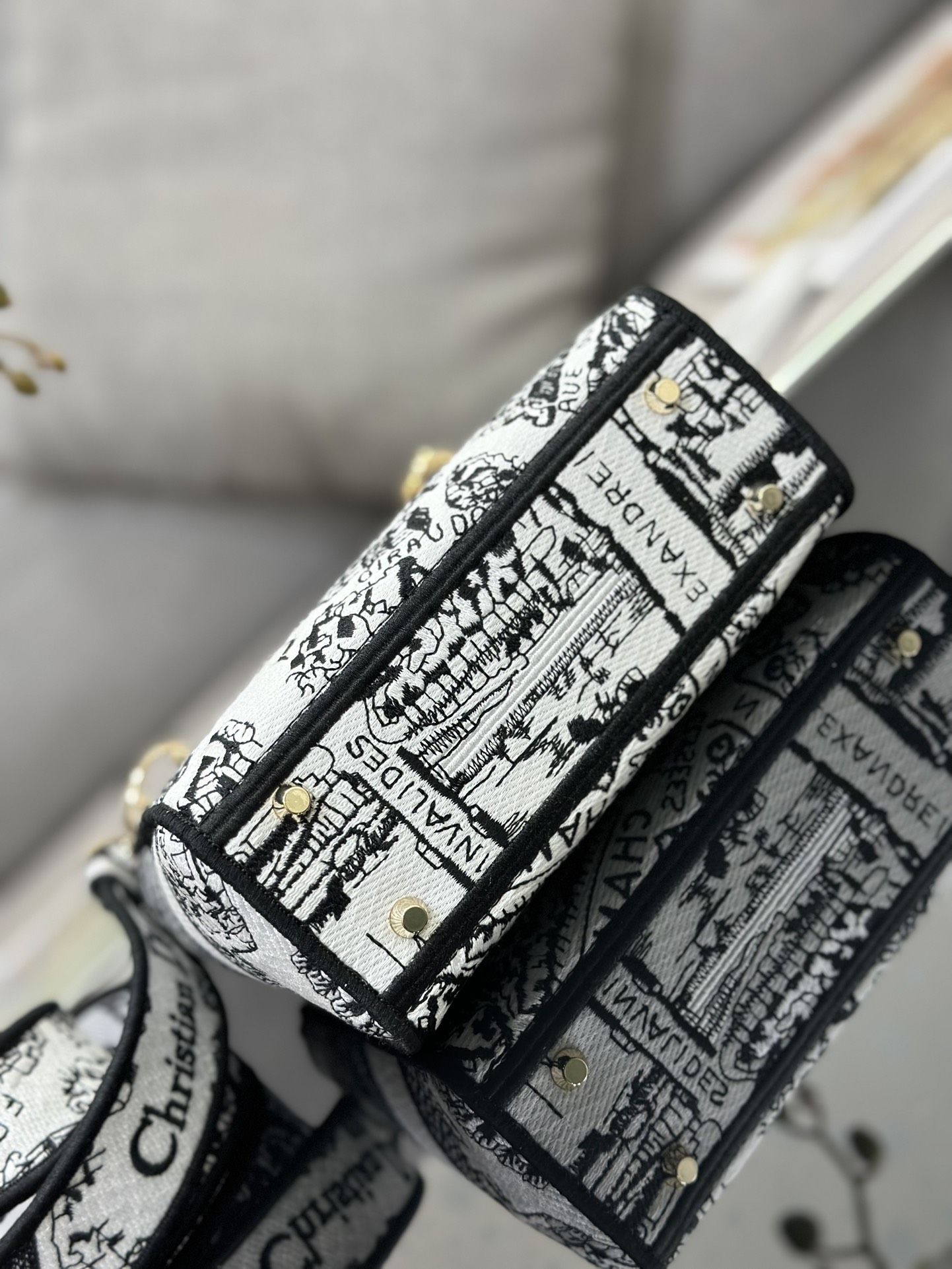 Dior Lady D-Lite M0505 (4)