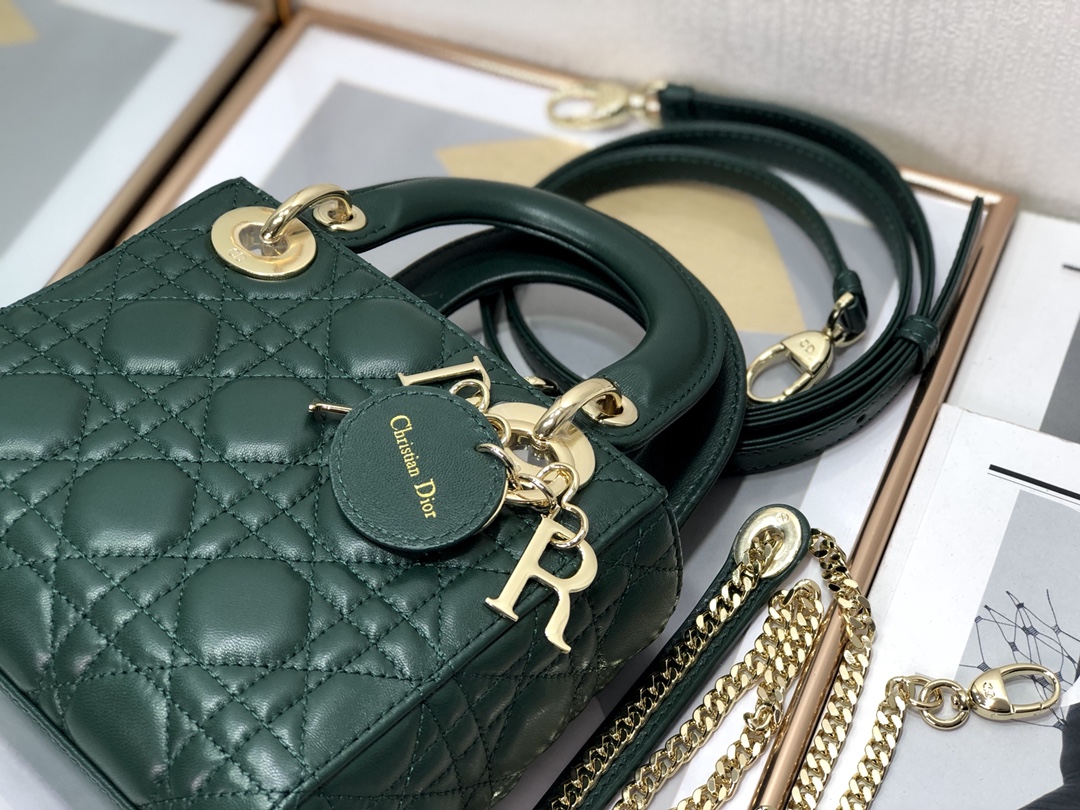 Dior mini Micro 8203 (3) 17cm