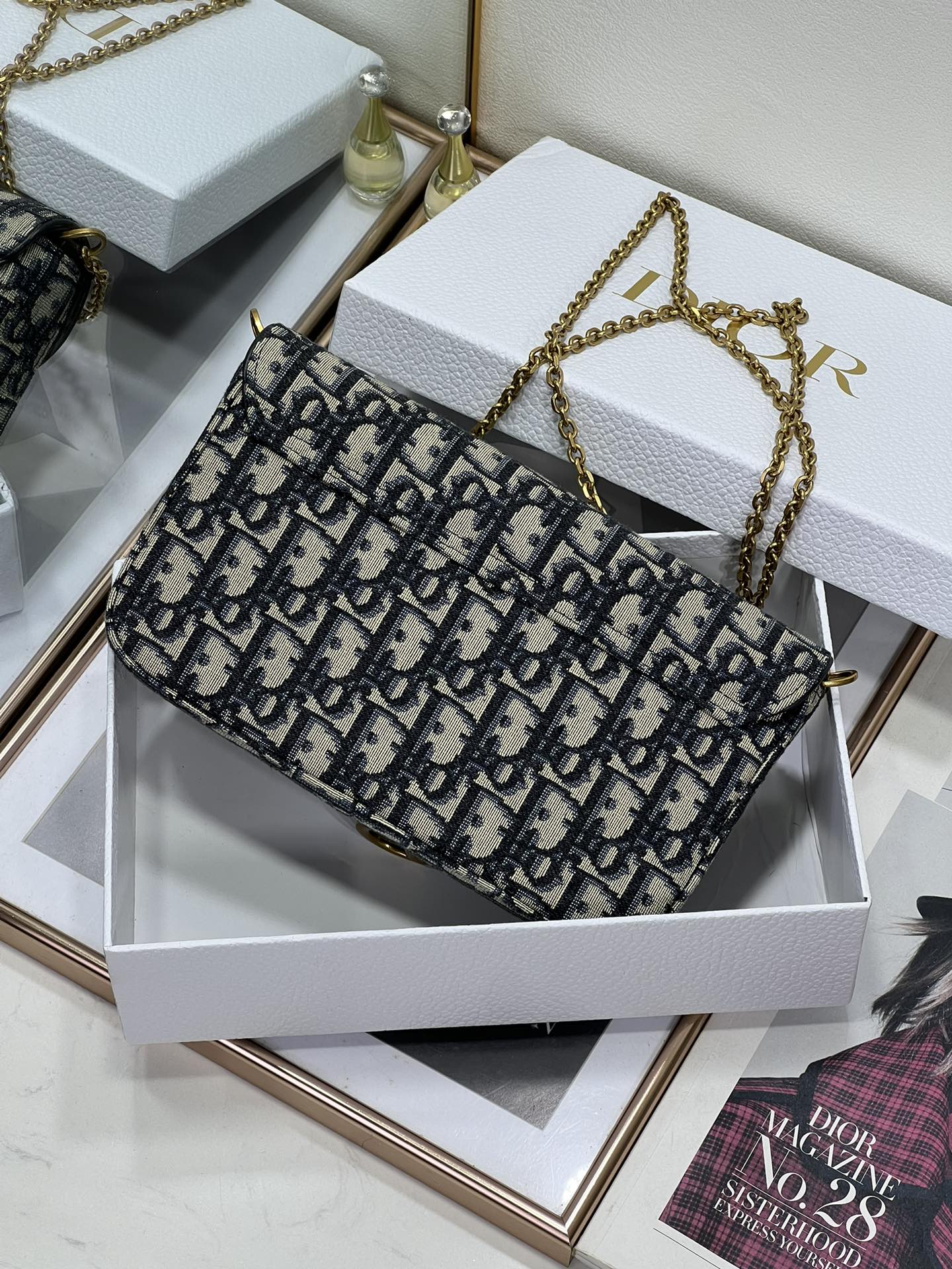 Dior Saddle 204510.5cm