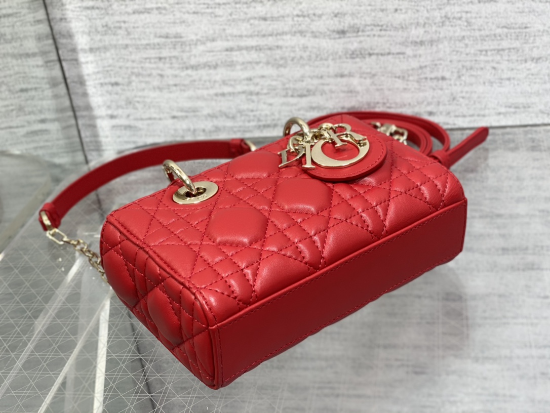 Dior Lady 9250 (14)