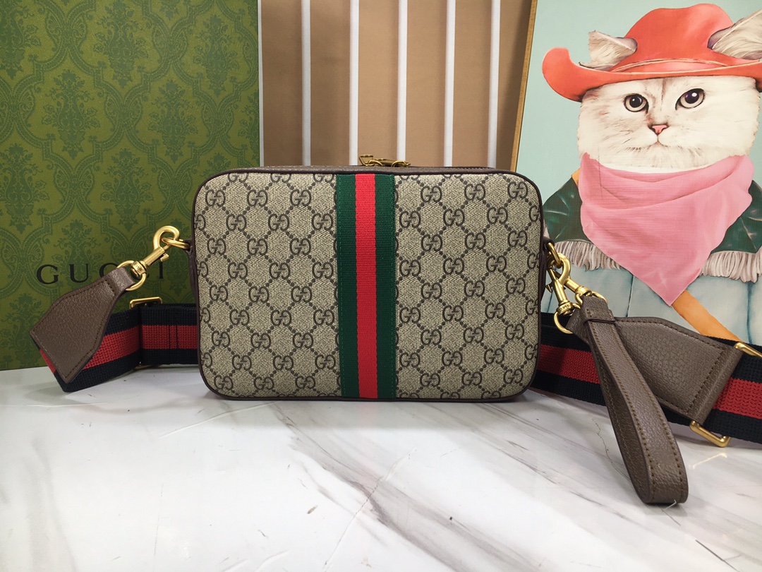 Gucci Ophidia 699439 24.5x16x4.5cm