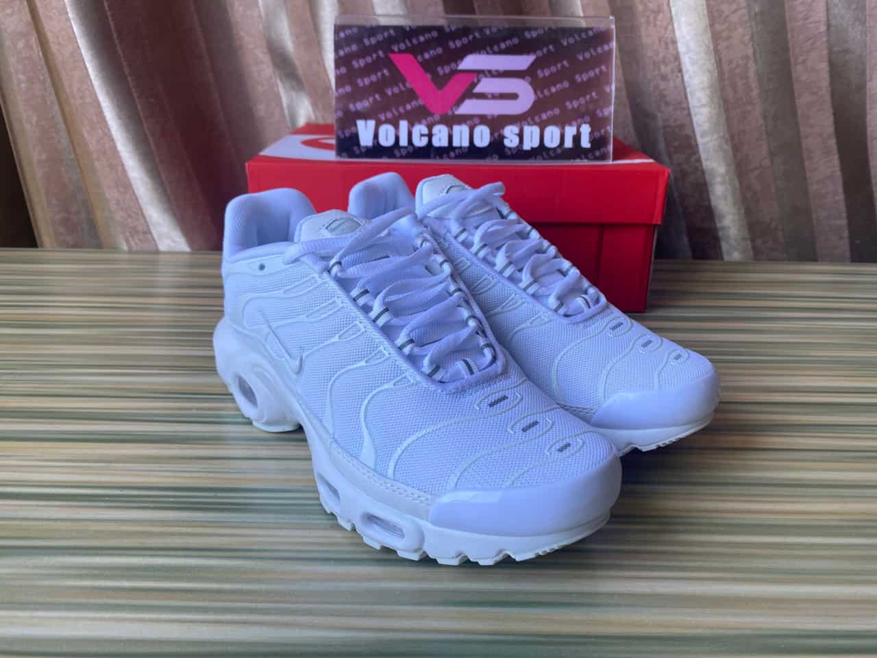 Air Max Plus White Pure Platinum DM2362-100