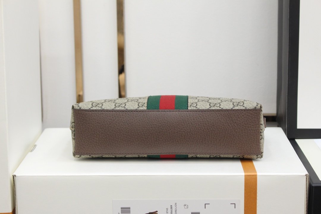 GUCCI Ophidia 499621 23.5*19*8cm